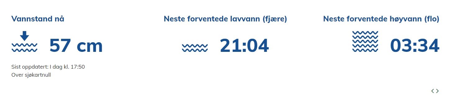 S&oslash;keresultat fra Se havniv&aring; som vannstand n&aring;, neste forventede lavvann (fj&aelig;re) og neste forvendte h&oslash;yvann (flo). Skjermdump