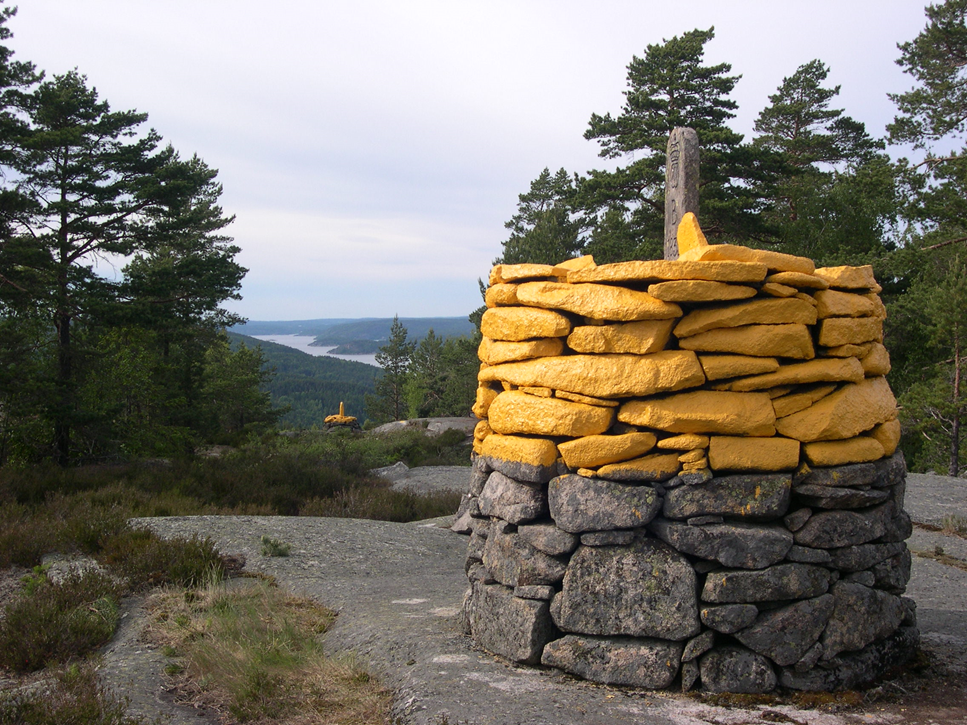 Gul grenserøys